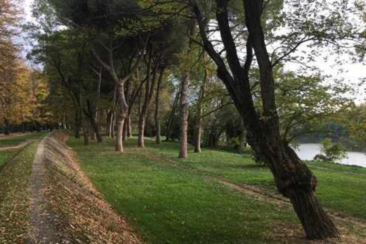 Bonaini Pensión